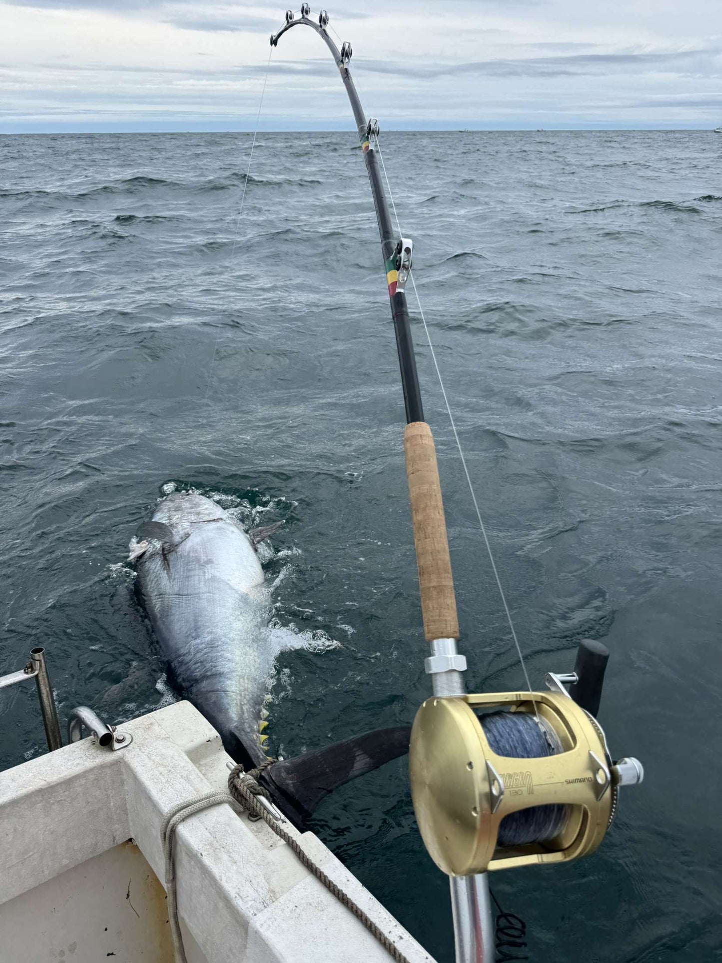 Redemption 80-130 Giant Tuna Rod