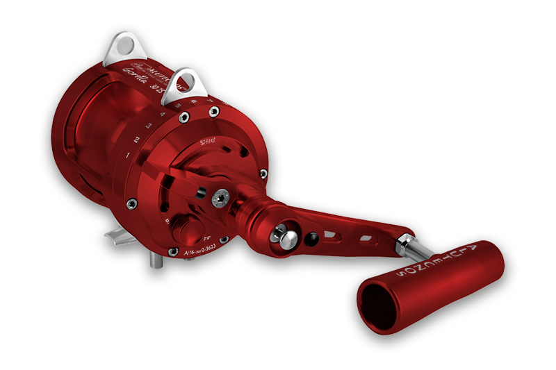 Alutecnos Gorilla 30 2 Speed
