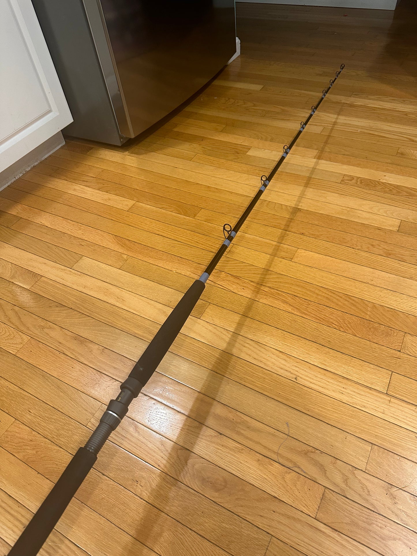 Sweeper Bass Trolling Rod
