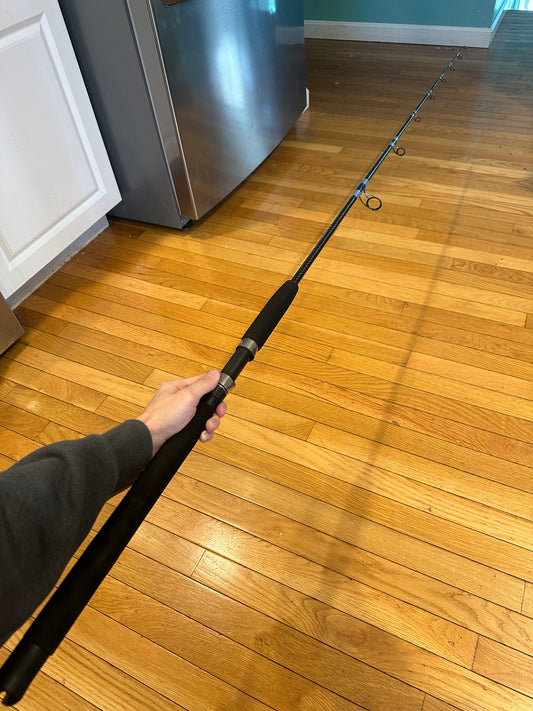 Sweeper Spinning Rod